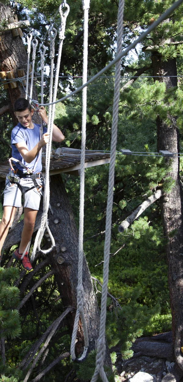 Tree climbing course