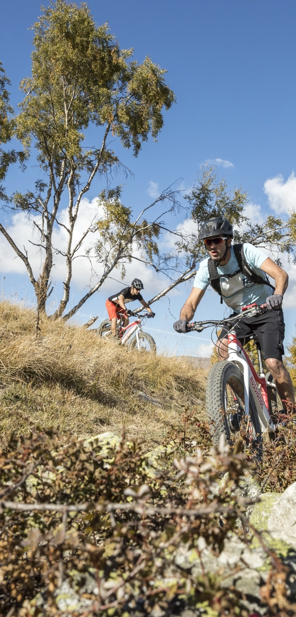 E-Discovery La Plagne