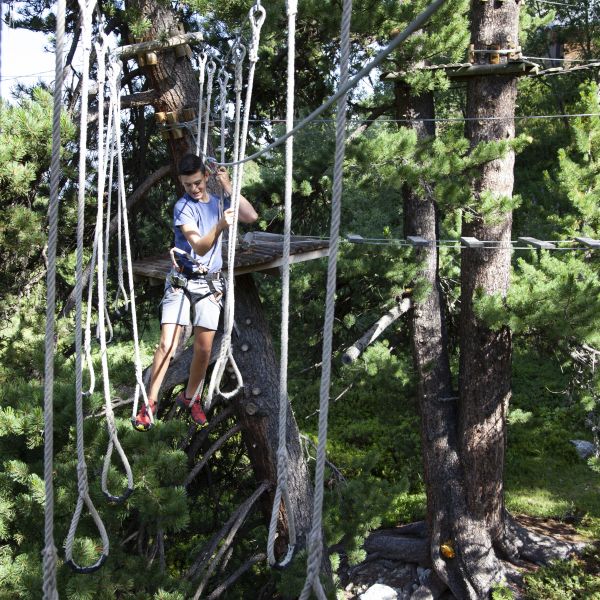 Activité Tree climbing course - Adventure & Zipline Park à La Plagne avec ELPRO
