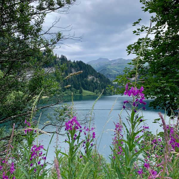 Activité E-Beaufortain - VTT Experience à La Plagne avec ELPRO